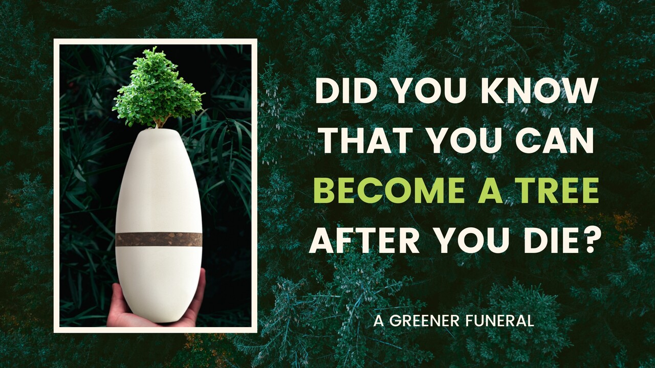 Blog A Greener Funeral