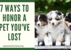 6 Ways to Honor a Pet You've Lost (1)