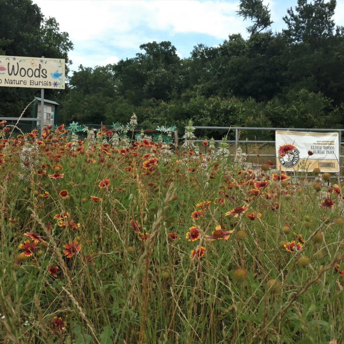 Eloise Woods Natural Burial Site