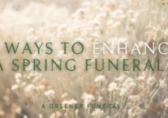 Spring Blog Banner